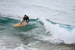 Surfování se žralokem